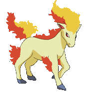 Ponyta